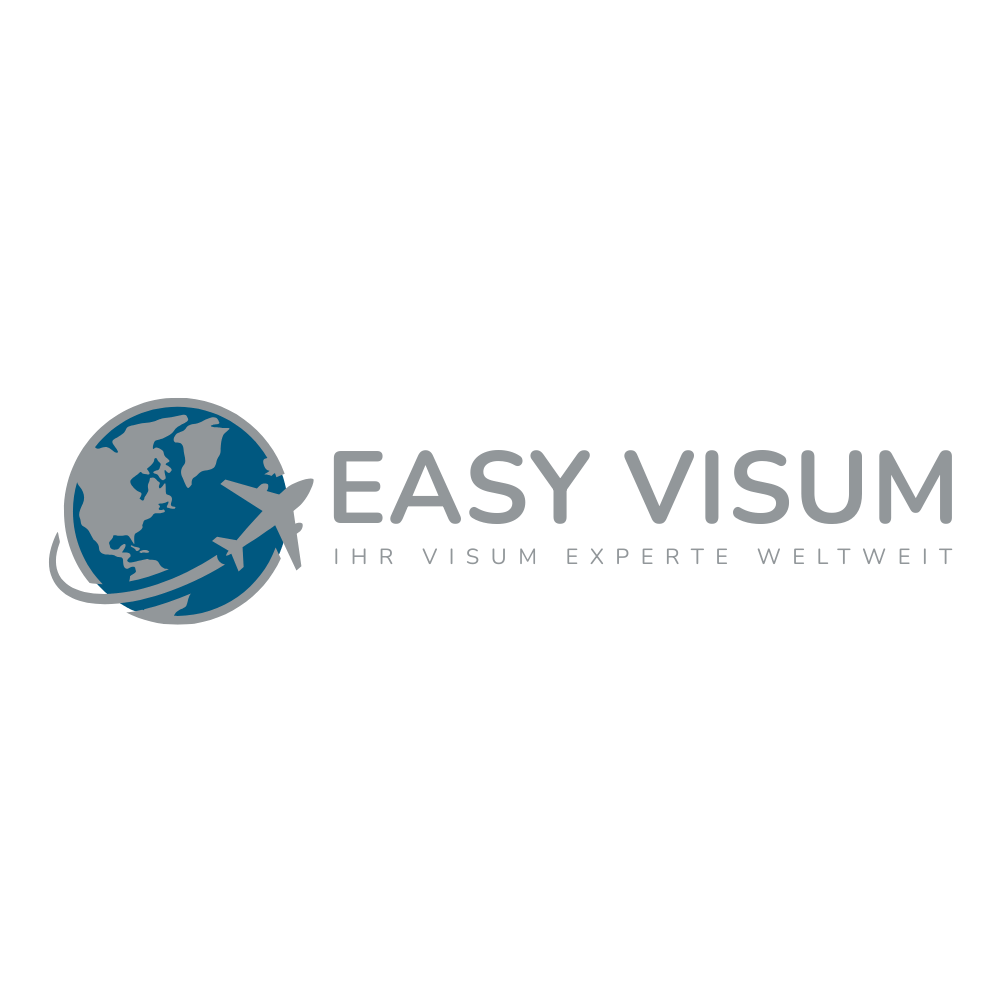 EASY VISUM Logo grau
